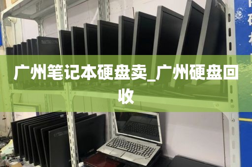 广州笔记本硬盘卖_广州硬盘回收