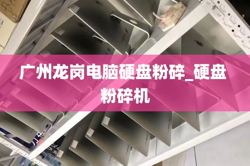 广州龙岗电脑硬盘粉碎_硬盘 粉碎机